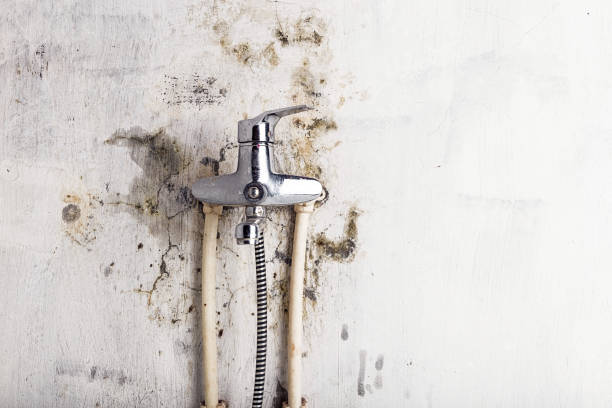 Best Mold Cleaning Services  in Summerfield, NC