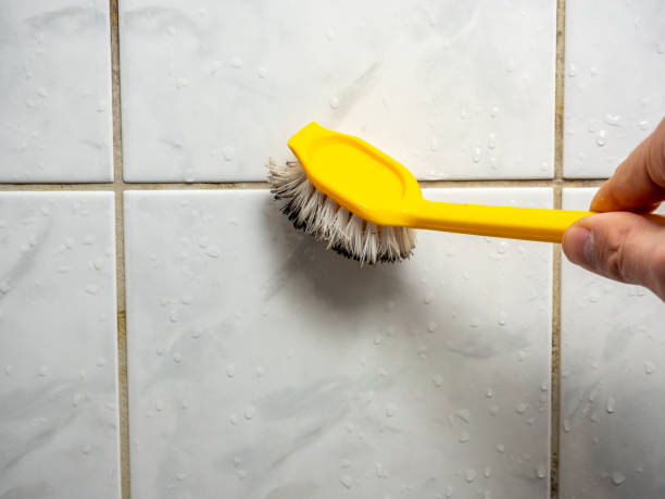 Best Emergency Mold Removal  in Summerfield, NC