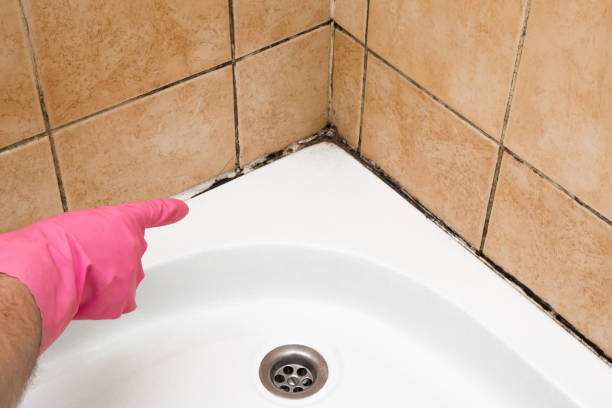Best Mold Removal Process  in Summerfield, NC